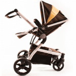 كالسكه دلیجان مدل روما(Roma)