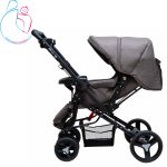 کالسکه بنیتا (Benita) دلیجان