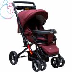 کالسکه بنیتا (Benita) دلیجان