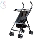 کالسکه دلیجان مدل تاینی | کالسکه عصایی سبک و جمع‌وجور مسافرتی