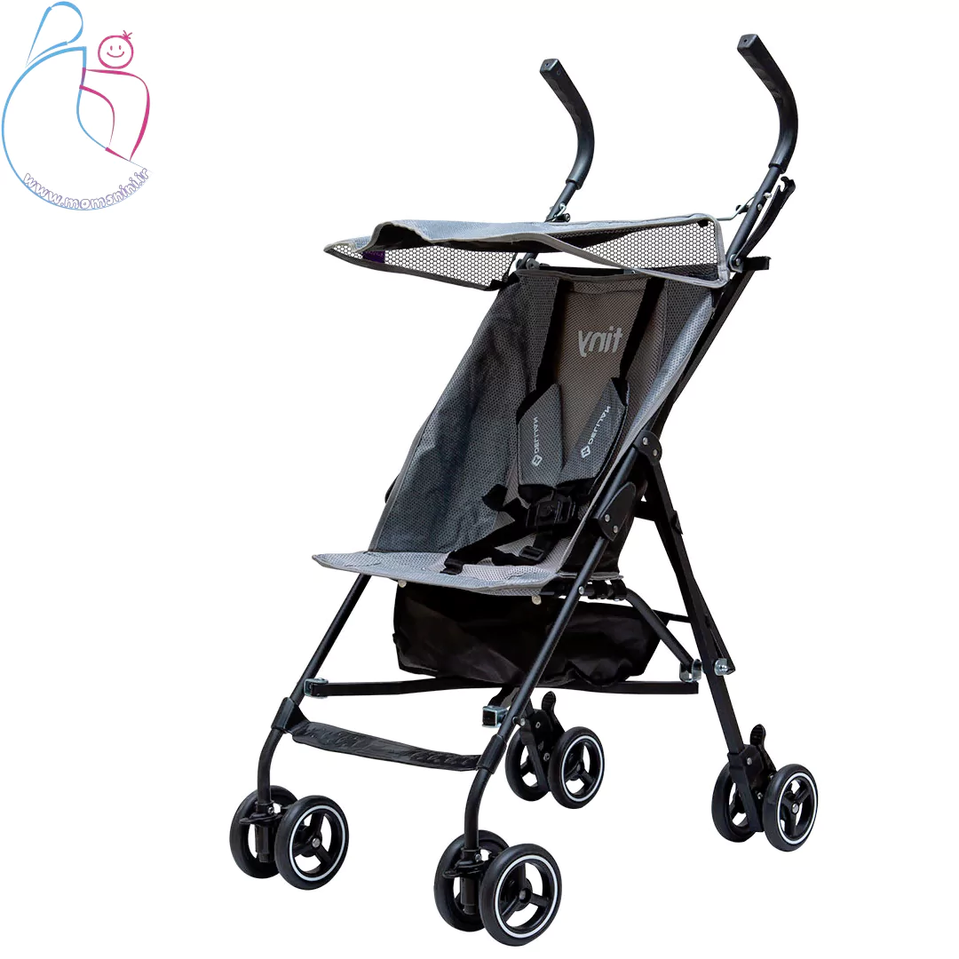 کالسکه مسافرتی دلیجان تاینی با طراحی جمع‌وجور و چرخ‌های روان