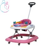 روروئک اسکایSKY دلیجان