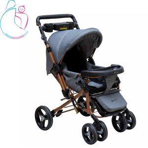 کالسکه بنیتا پرو دلیجان