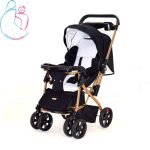 سرویس کالسکه طلایی ارابه مدل 3009