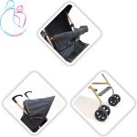 کالسکه عصایی ارابه