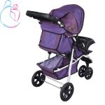 کالسکه ارابه مدل 319