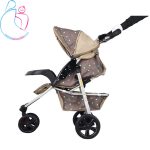 کالسکه ارابه مدل 319