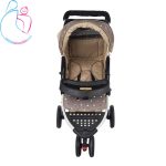 کالسکه ارابه مدل 319