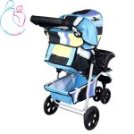 کالسکه ارابه مدل 319