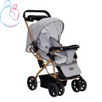 سرویس کالسکه طلایی ارابه مدل 3009