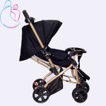 سرویس کالسکه طلایی ارابه مدل 3009