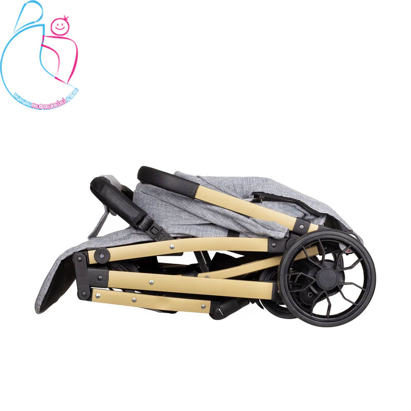 کالسکه ریچ کیدز پرو بی بی استار baby 5