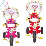 سه چرخه دلیجان مدل ماتادور  رنگ سبز مامزنینی