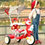 سه چرخه دلیجان مدل تایگر (TIGER) مامزنینی