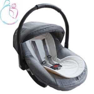 کریر دلیجان با تشک کاکتوس