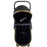 ست کالسکه و کریر دلیجان مدل هیرو پرو بدنه طلایی مامزنینی