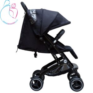 کالسکه مسافرتی دلیجان مدل مینی